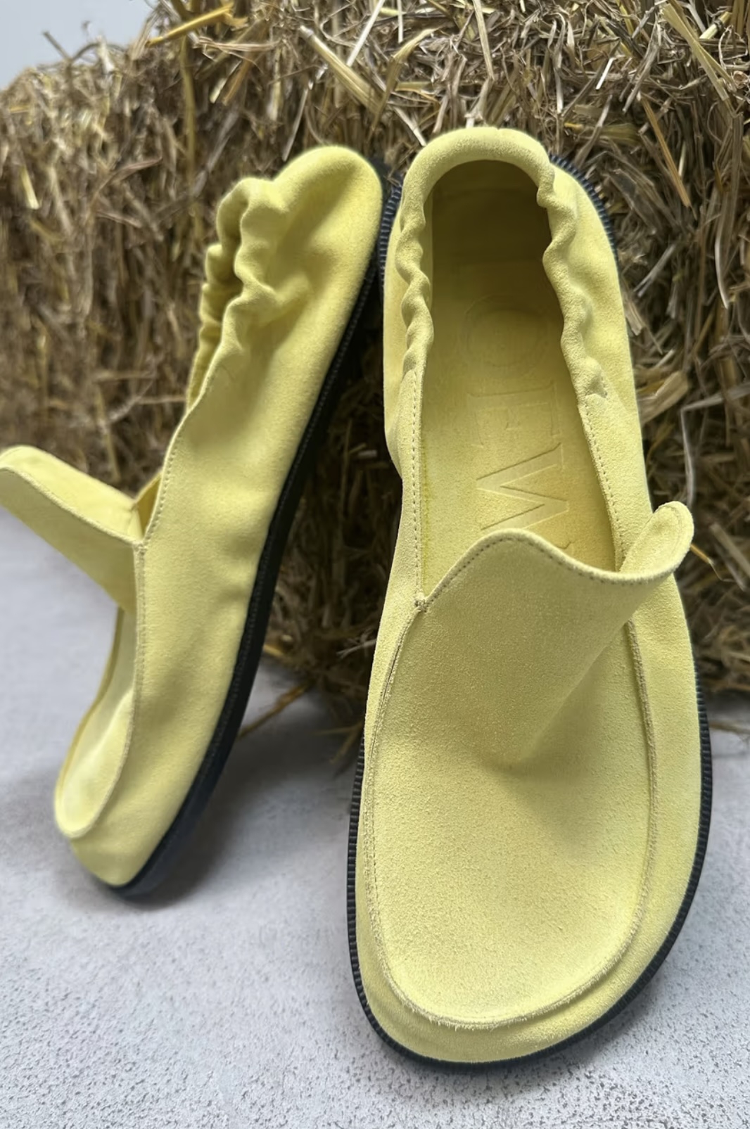 Loewe Precollection 2024