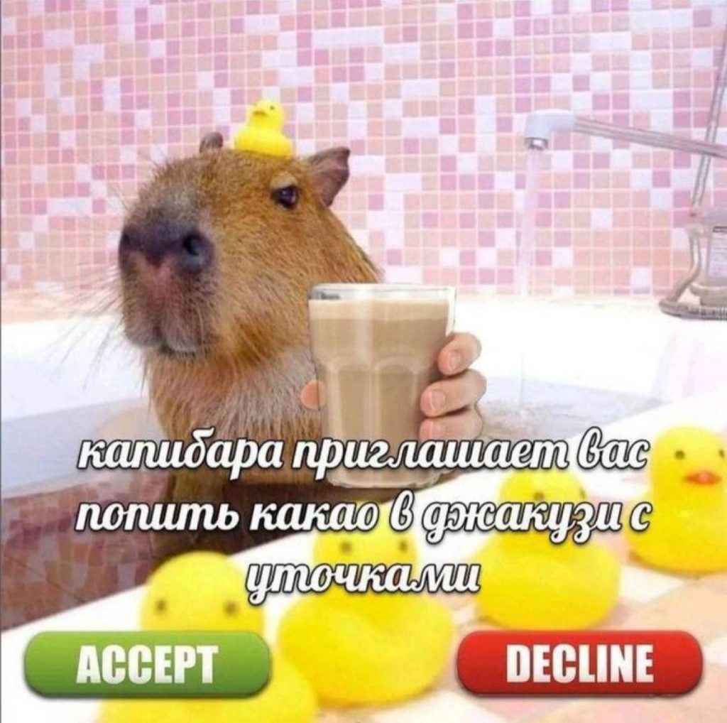 Мем с капибарой. Фото: социальные сети