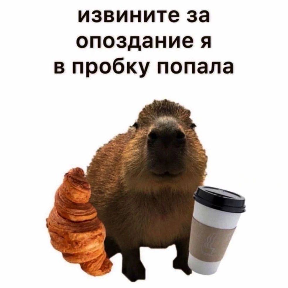 Мем с капибарой. Фото: социальные сети