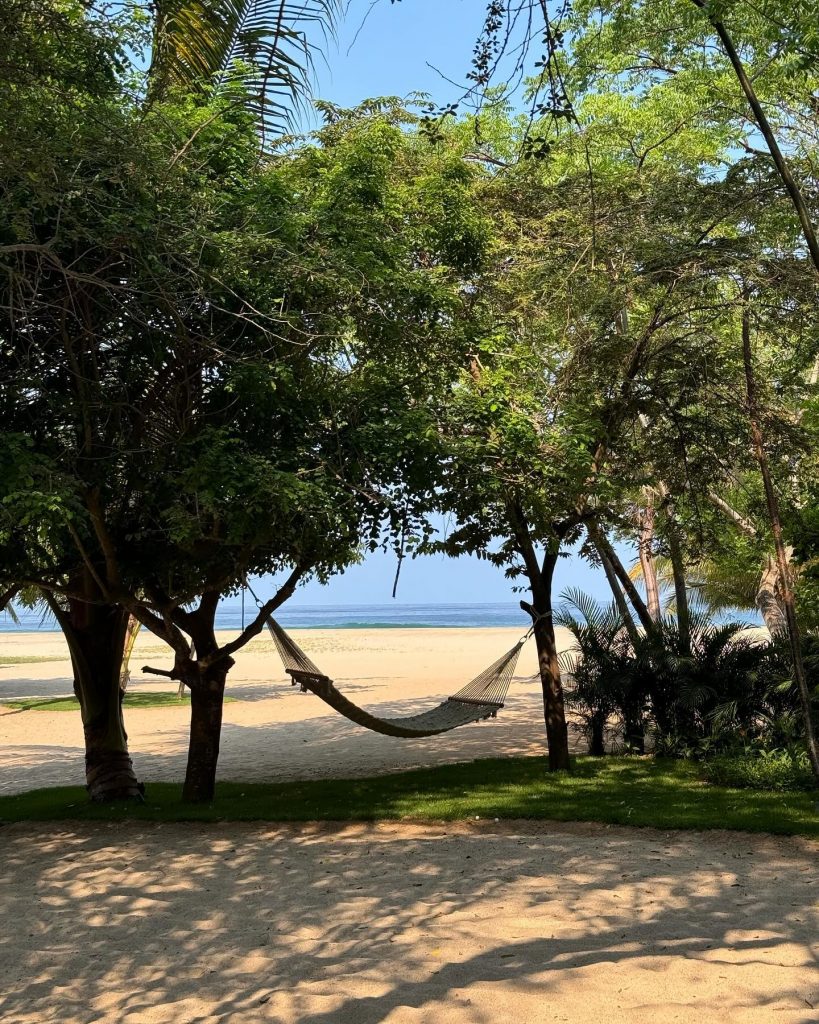 Фото: социальные сети Виттории Черетти