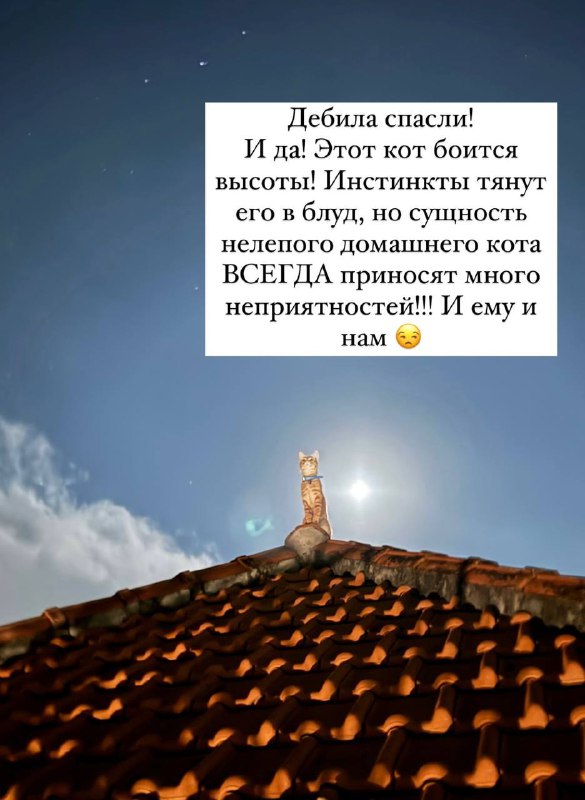 Фото: социальные сети