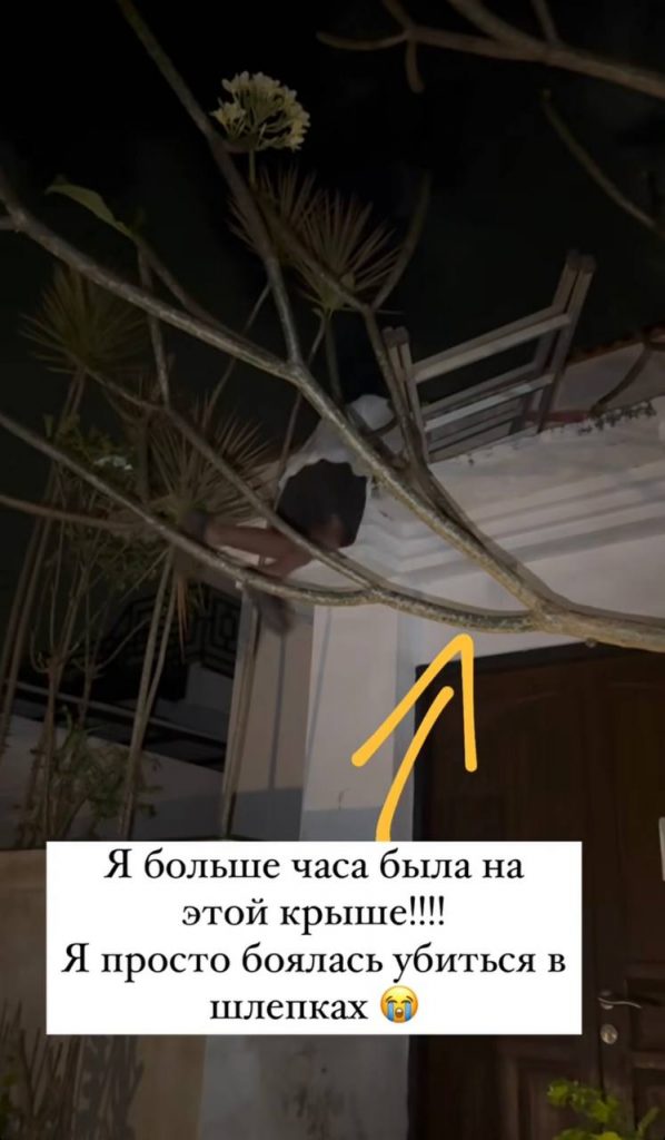 Фото: социальные сети
