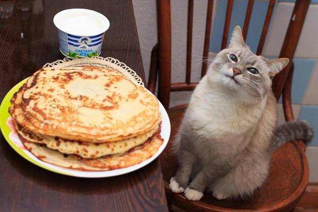 Мем с котом. Фото: социальные сети Мем с котом. Фото: социальные сети