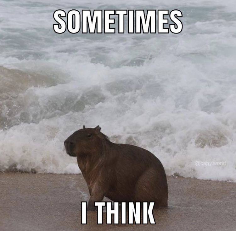 Мем с капибарой. Фото: социальные сети