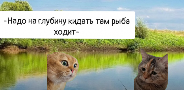 Кто сказал мяу? Топ-5 мемов с котиками, покоривших Интернет