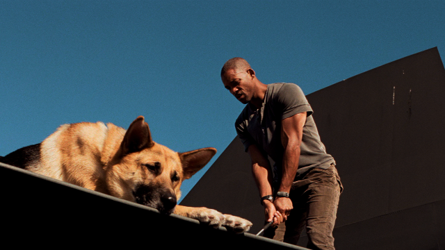 Сиквел фильма «Я – легенда» построят на альтернативной концовке