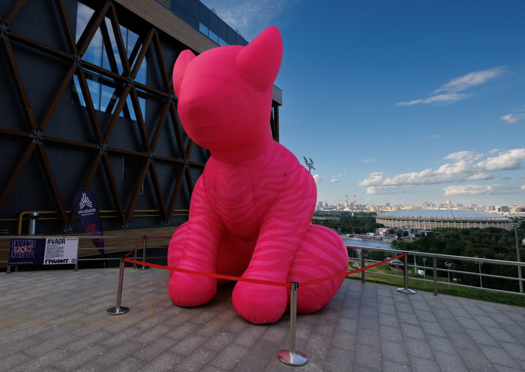 Фото: пресс-служба