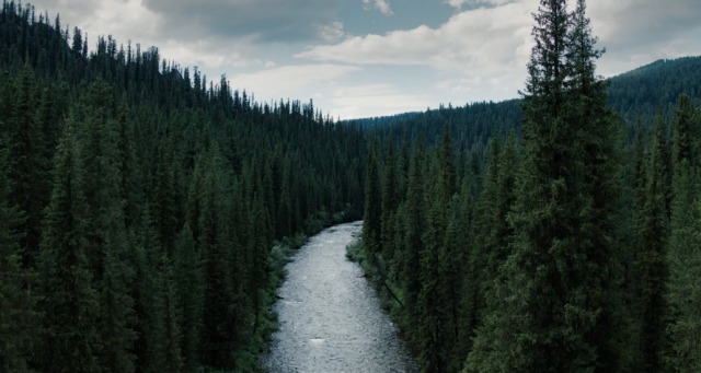 Парень потерялся после работы и четыре дня скитался по тайге