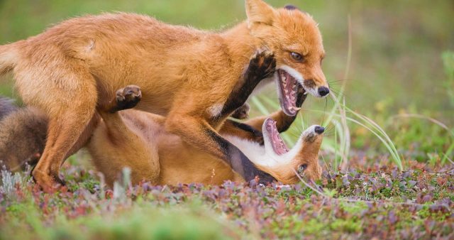 5 нескучных фильмов для дождливого дня