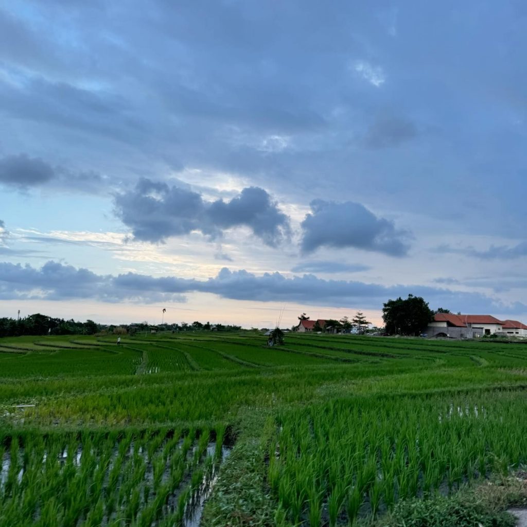 Фото: социальные сети Алеси Кафельниковой