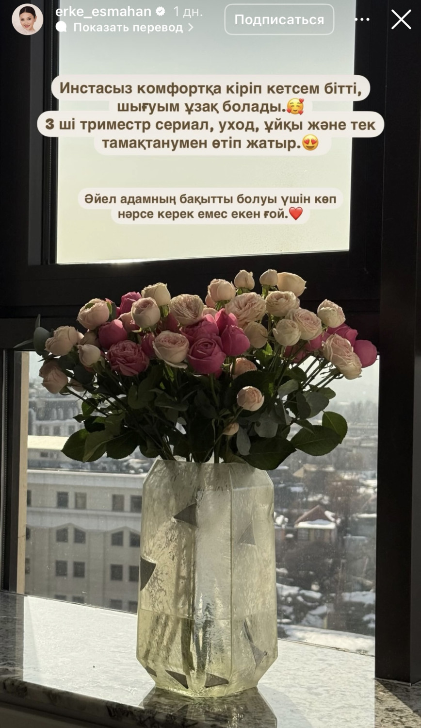 Ерке Есмахан ұлын көрсетіп, декреттік демалыста немен айналысып жатқанын айтты