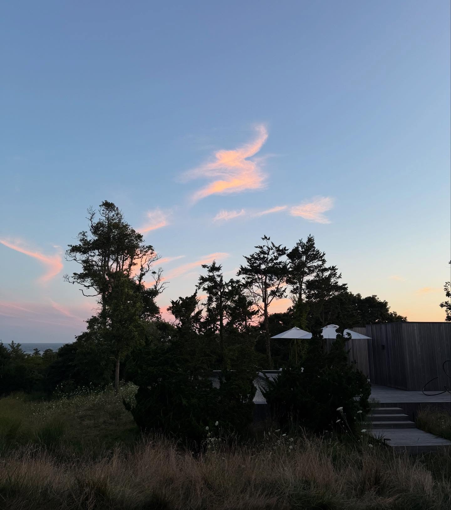 64-летняя Джулианна Мур поделилась селфи в бикини и без макияжа